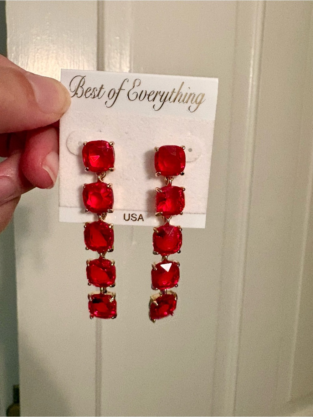 Red Dangle Earrings